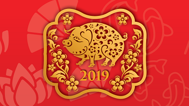 Year of the Pig